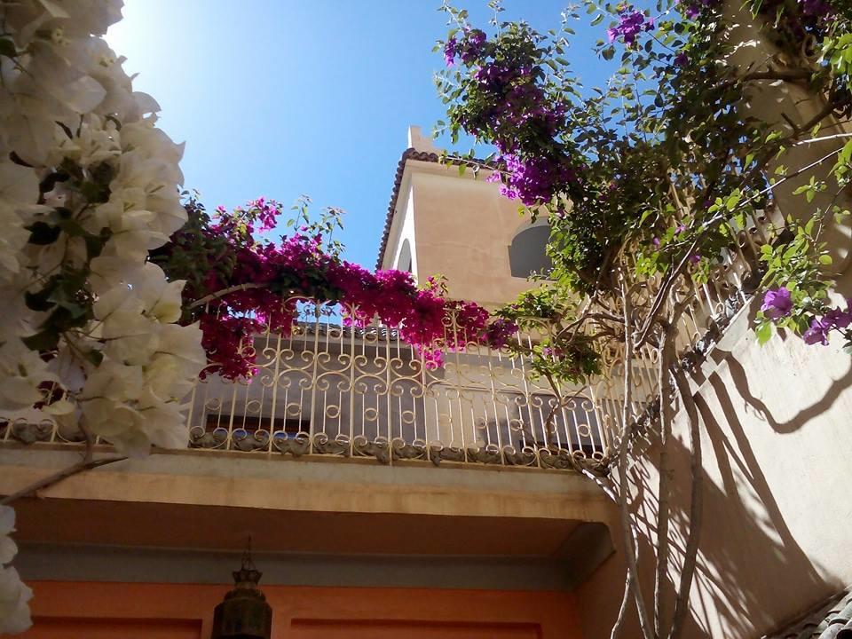 זאגורה Riad De Reve מראה חיצוני תמונה